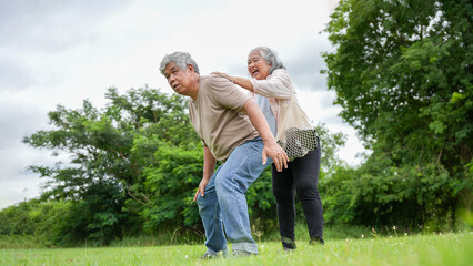Fototapeta premium Happy Senior Couple in Green Park Outdoors, Elderly Man and Woman Enjoying Nature Walk and Conversation, Smiling Retired Couple Spending Leisure Time in Meadow