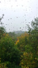Rainy window view with droplets and blurred greens