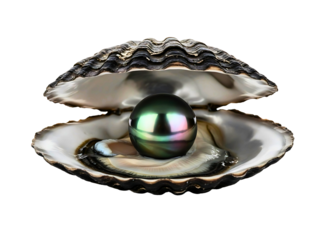 Black pearl in an oyster shell isolated on transparent background
