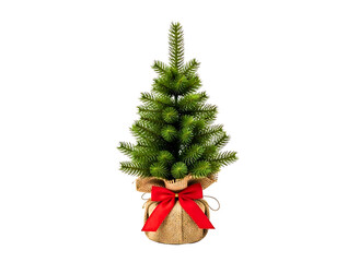 Small decorated christmas tree with red bow isolated on transparent background