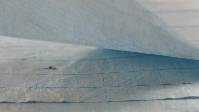 Aged Stationery Texture with Faint Light Blue Rules and Lines for Writing or Design