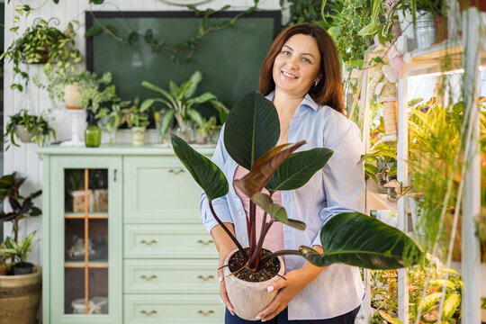 Smiling woman florist gardener with philodendron at indoor home garden closeup