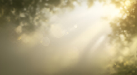 Abstract background with light rays and bokeh effect shining through trees