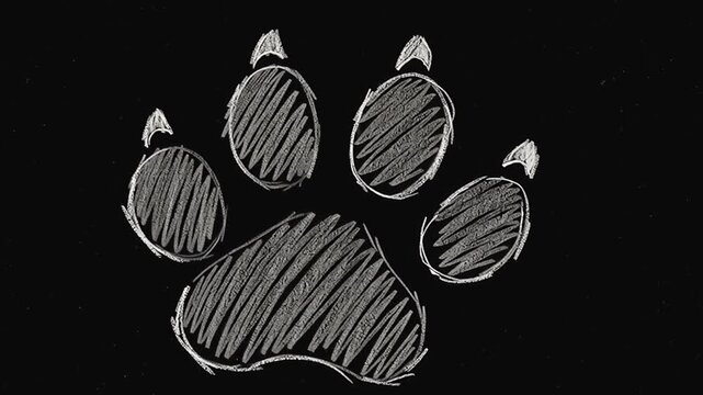 Paw Print Impression: A stark, artistic rendering of a paw print, etched with chalk-like strokes against a pure black backdrop, evoking a sense of mystery and the wild.