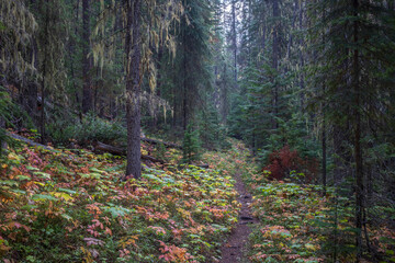 Vinal Creek Trail #9