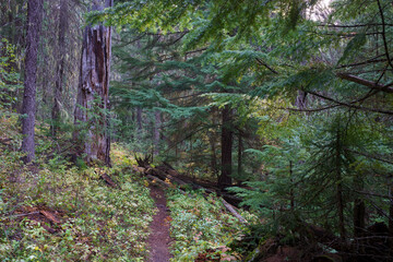 Vinal Creek Trail #9