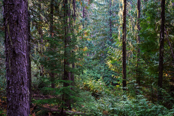 Vinal Creek Trail #9