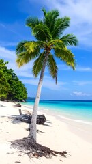Tropical beach scene with palm tree (1)