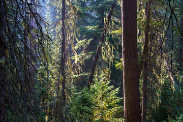 Vinal Creek Trail #9