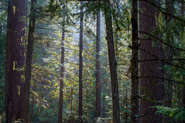 Vinal Creek Trail #9