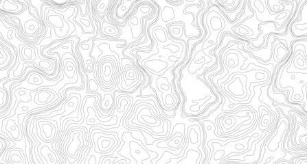 Fish Fillet Texture, Salmon fillet texture, fish pattern. paper texture, Abstract outline grid, vector illustration. Topography and geography map grid abstract backdrop
