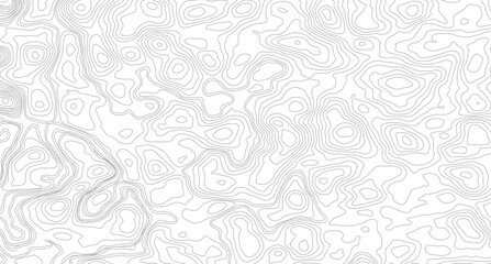 Topography and geography map grid abstract backdrop. Business concept. Fish Fillet Texture, Salmon fillet texture, fish pattern. paper texture
