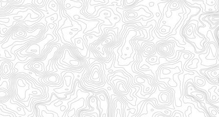 Obraz premium Topography and geography map grid abstract backdrop. Business concept. Fish Fillet Texture, Salmon fillet texture, fish pattern. paper texture 