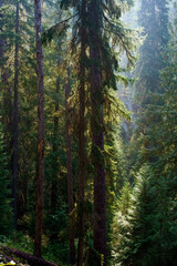 Vinal Creek Trail #9