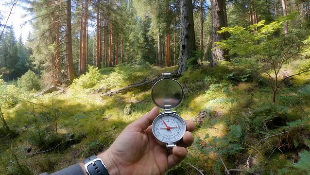group of individuals using directional compass for orientation during forest hike adventure
