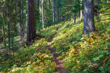 Vinal Creek Trail #9