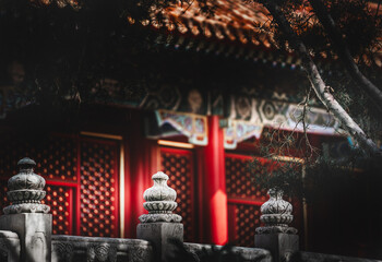 A detailed glimpse into the Palace Museum, Beijing. The image captures a classical architectural...