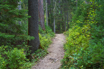 Vinal Creek Trail #9