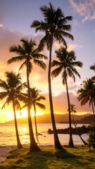 Tropical sunset beach scene