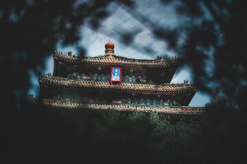 An artistic shot of The Palace Museum in Beijing, framed through foliage, revealing a majestic...