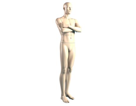  Male 3D model with arms crossed
