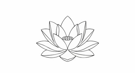 lotus flower isolated on white background