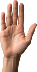 Frontal View of an Open Human Hand Palm Against White Background