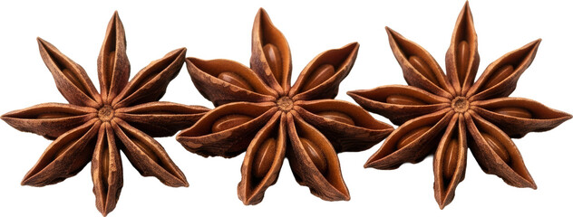 Three Dried Star Anise Pods with Seeds on a White Background