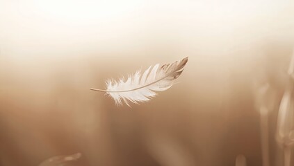 Naklejka premium Weightless Whisper: A delicate feather floats gracefully against a blurred background, evoking feelings of serenity and freedom.