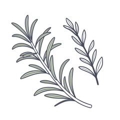 Spices & Herbs Color Illustrations Pack – Garlic, Ginger, Chili, Cinnamon, Cloves, Turmeric, Basil, Mint, Parsley, Rosemary Flat Vector Set