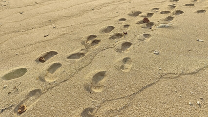 footprint in sand. Serene Sandy Footprints Landscape Background in Tranquil Golden Hour Ambiance