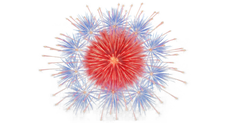 Red and blue fireworks isolated on transparent background for celebration event