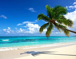 Tropical Beach Paradise with Palm Tree.