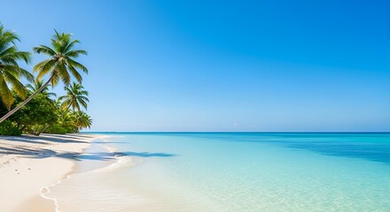 Fototapeta premium Idyllic Tropical Beach with White Sand, Palm Trees, and Turquoise Sea under a Clear Blue Sky.