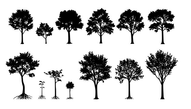 Vector illustrations of silhouette seedling young fruit trees with roots and fruits set
