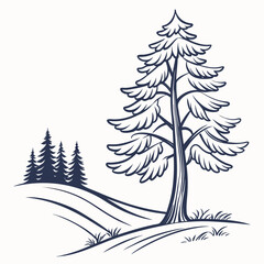 Pine tree on a hill vector line illustration