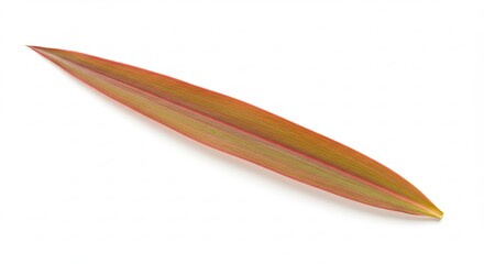 Autumnal Olive Leaf - A Study in Warm Hues and Delicate Veins.