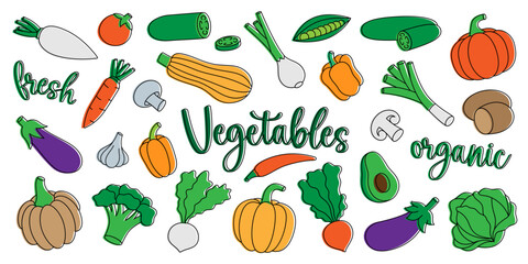 Vegetables set. Fresh raw vegetables. Organic foods design for food market, ecommerce, products promotion. Healthy eating. Vector illustration.