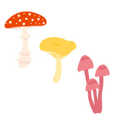 Mushroom
