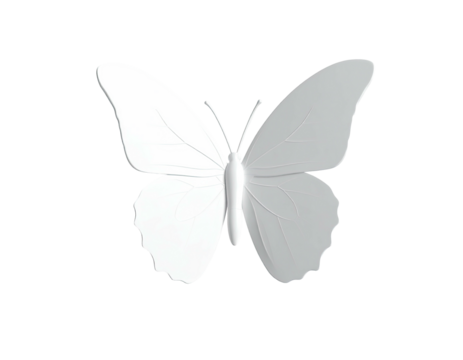 A grayscale, rendered butterfly silhouette with detailed wing veins