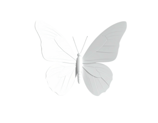 White butterfly illustration on a black background, wings spread open