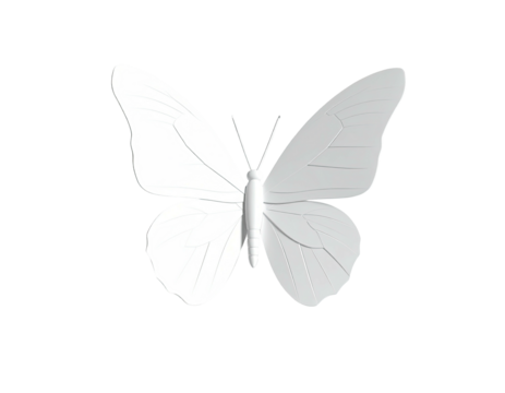 White butterfly illustration on a black background, wings spread open