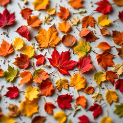 Fototapeta premium Colorful Autumn Leaves Arrangement with Warm Textures