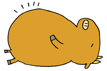 満腹で寝転ぶ牛