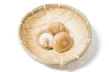 椎茸