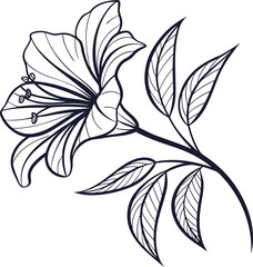 Elegant line art illustration of a blooming lily flower with leaves, isolated on white background for coloring books and design projects