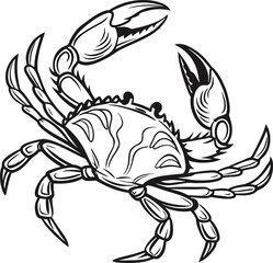 Detailed crab illustration isolated on white background, showcasing intricate line work and shading for a vintage, handdrawn aesthetic