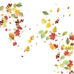 Leaves Falling Autumn Foliage Chaotic Leaf Flying