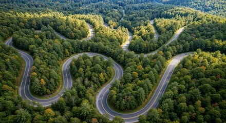 Aerial View of Winding Road Through Dense Forest
