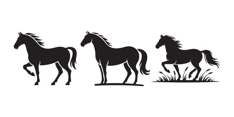 horses on the white background